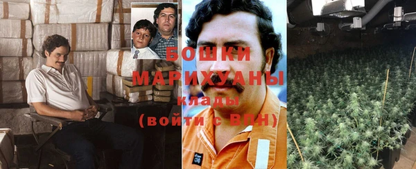 гидра Алексин