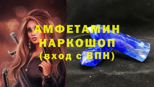 гидра Алексин