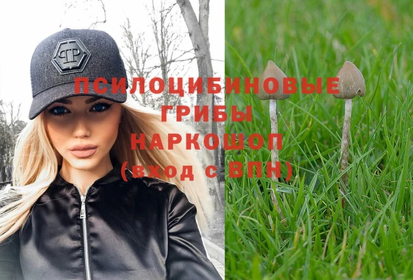 герыч Алзамай