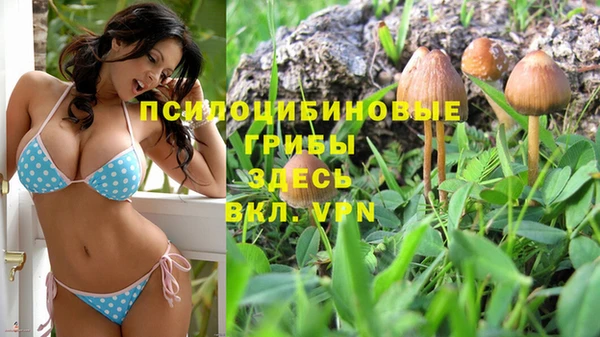 гидра Алексин